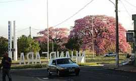 Nhandeara - Imagens da cidade de Nhandeara- SP 