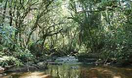 Nova Campina - Imagens da cidade de Nova Campina - SP