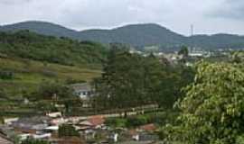 Palmeiras de So Paulo - Vista da cidade-Foto:Osli Barroso