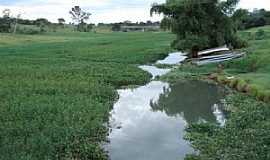 Panorama - Panorama-SP-Rio Marreca afluente do Rio Paran-Foto:Rubens da Silva Ramos