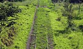 Parapu - Linha frrea