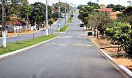 Paulpolis - Paulpolis-SP-Avenida de entrada da cidade-Foto:Fabio Vasconcelos