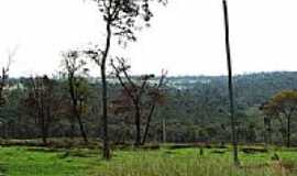 Pederneiras - Cerrado na regio de Pederneiras-Foto:gustavo_asciutti