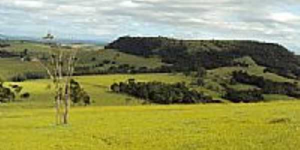 Montanha mais alta de Pedra Branca-Foto:joelson.bradock 