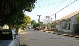 Pindorama - Pindorama-SP-Rua da cidade-Foto:Mauro Luiz Benedito da Costa