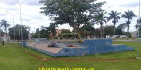 PISTA DE SKATE - PONTAL/SP., Por ZCK BROCA