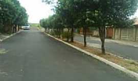 Pontalinda - Avenida-Foto:Sergio Cassio 
