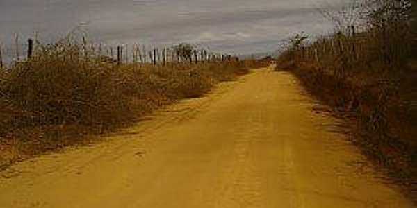 Imagem da cidade de Quarau-BA