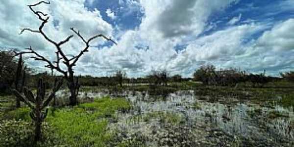 Imagem da cidade de Queimadas-BA