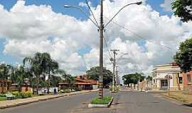 Quintana - Quintana-SP-Avenida na entrada da cidade-Foto:Eduardo Dantas