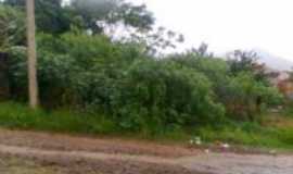 Ribeiro Bonito - , Por jesuita