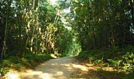 Ribeiro Branco - Estrada Rio Apiai