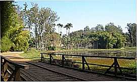 Rio Claro - Rio Claro-SP-Ponte sobre o Lago Azul no Horto Florestal Navarro de Andrade-Foto:Nilson Kabuki