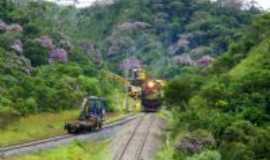 Rio Grande da Serra - quaresmeiras, Por severo