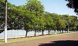 Salto Grande - Avenida Arborizada em Salto Grande-SP-Foto:Fabio Vasconcelos