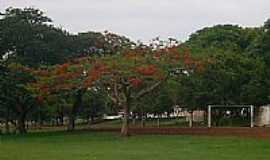 Salto Grande - Vista da Quadra de Areia de Salto Grande-SP-Foto:whelighton