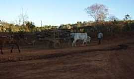 Remanso - rea rural em Remanso-BA-Foto:namoralcomigo