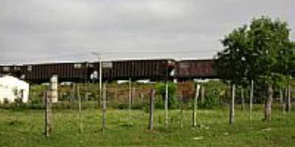 Trem em Santa Ernestina-Foto:Betinho Ferreira 