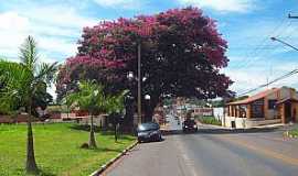 Santo Antnio de Posse - Imagens da cidade de Santo Antnio de Posse - SP