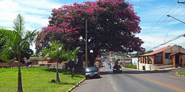 Imagens da cidade de Santo Antnio de Posse - SP