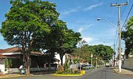 So Pedro - So Pedro-SP-Avenida na entrada da cidade-Foto:Eduardo Dantas