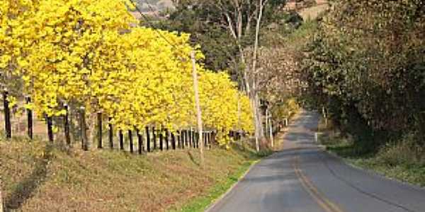 Imagens da cidade de Serra Negra - SP