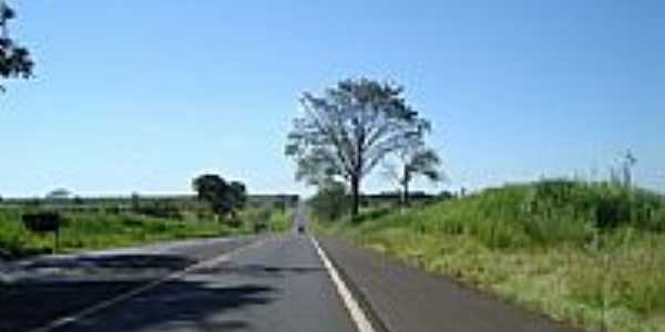 Rodovia Euclides da Cunha-Foto:parisiense 