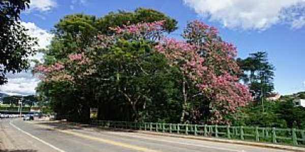 Socorro-SP-Ponte sobre o Rio do Peixe-Foto:Ernandes C Santos