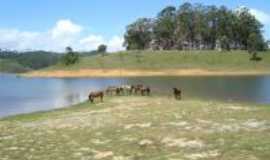 Taiaupeba - Represa em Salespolis - SP, Por Eduardo