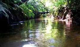 Taiaupeba - Rio Itatinga, no Parque das Neblinas