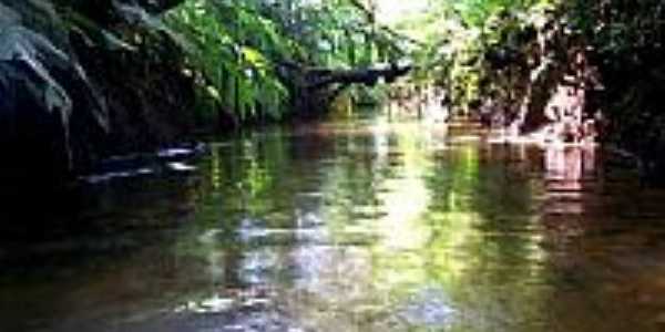 Rio Itatinga, no Parque das Neblinas