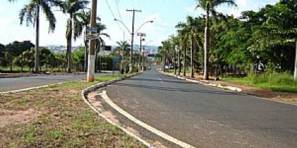 Trevo de Acesso  Taquaritinga Pela Av. Carlos de Brito  - por Umberto Moreno 