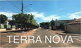 Terra Nova D