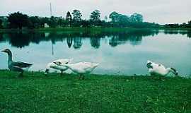 Tuiuti - Imagens da cidade de Tuiuti - SP