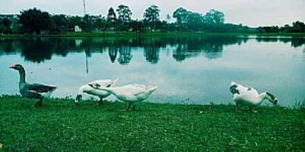 Imagens da cidade de Tuiuti - SP