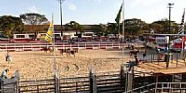 Arena de Rodeio-Foto:LPSLPS