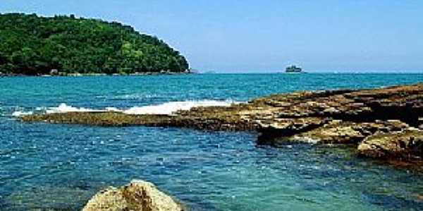 Cedro - Ubatuba