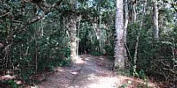 Trilha no Parque Eco-Turstico em Valentim Gentil-SP