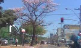 Valinhos - CRUZAMENTO AV. DOS ESPORTES COM AV. ONZE DE AGOSTO, Por DOLORES