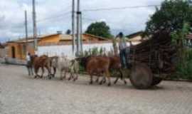 Rio Real - Carro de boi, Por cassivaldo