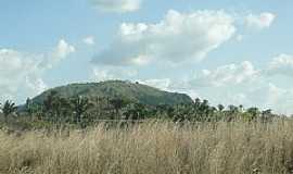 Axix do Tocantins - Axix do Tocantins-TO-Vegetao e a serra-Foto:Caio Graco Machado