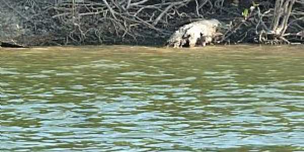 Parque Estadual do Canto em Caseara - TO