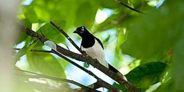 Parque Estadual do Canto em Caseara - TO