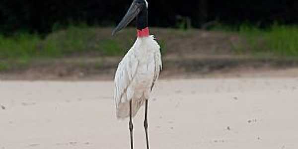 Parque Estadual do Canto em Caseara - TO