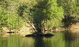 Ja do Tocantins - Paisagem do Rio Santa Tereza-Foto:RioPreto 