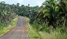 Maurilndia do Tocantins - Estrada-Foto:mabnacional