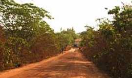 Novo Acordo - Ponte em estrada de terra-Foto:Dhiancarlos Pacheco 