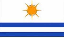 Palmas - Bandeira de Palmas-TO