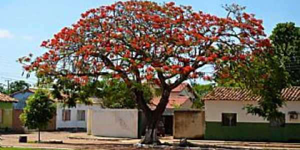 Imagens da cidade de Pedro Afonso - TO