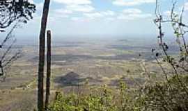 Pequizeiro - por DesorderBr (Panoramio)